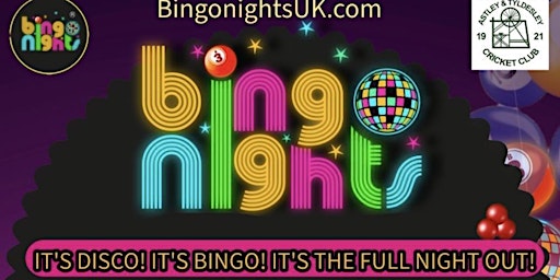 Imagem principal do evento Disco Bingo