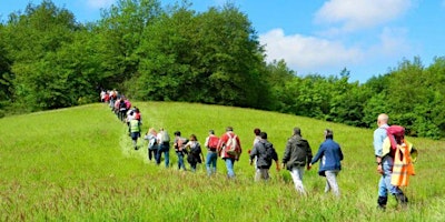 Immagine principale di Camminata Revigliaschese 