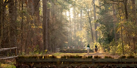 Aiken Hounds Spring Hunter Pace