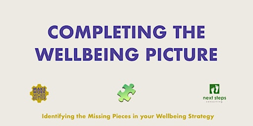 Primaire afbeelding van Completing the  Wellbeing Picture