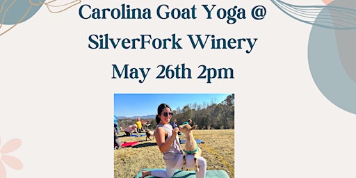 Imagen principal de Carolina Goat Yoga @ SilverFork Winery: May 26th 2pm