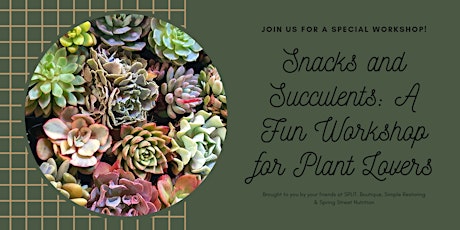 Snacks & Succulents