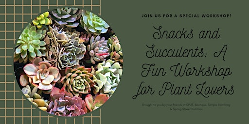 Snacks & Succulents  primärbild
