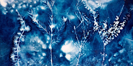 Atelier cyanotype