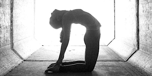 Foundations of Backbends primary image