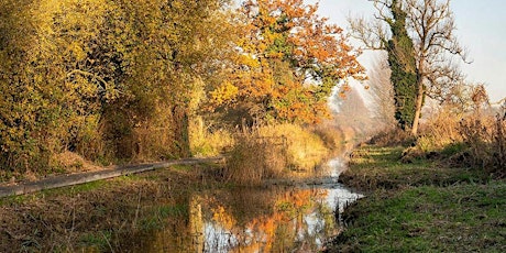 Autumn Walk with the Warden