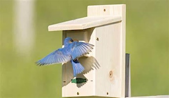 Blue Bird House primary image