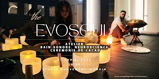 Primaire afbeelding van SoundBath - Atelier de Neuroscience et Cacao / Evosoul