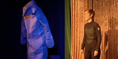 Image principale de The Dolphin Show