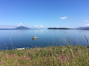 Trees to the Seas: Junior Ecologists (ages 6-9) primary image