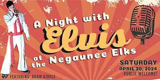 Image principale de A Night With Elvis