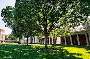 Image principale de New  UVA Guided Tree Walk