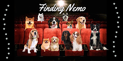 DOGGY CINEMA SCREENING  primärbild