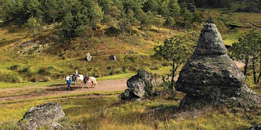 Hauptbild für Noche de negocios Chignahuapan y Zacatlan