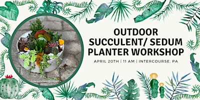 Imagem principal do evento Outdoor Succulent/Sedum Planter Workshop Intercourse Workshop