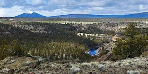 Immagine principale di Sand Ridge Trail Wildflower Hike 