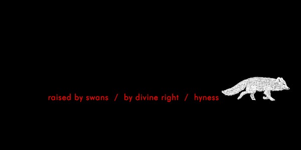 Raised By Swans (with a full band), By Divine Right and Hyness @ Room 47