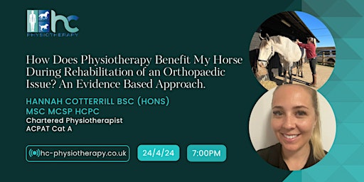 Imagen principal de How Does Physiotherapy Benefit My Horse During Rehabilitation of an Orthopaedic Issue?