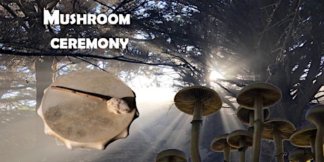 Mushroom ceremony