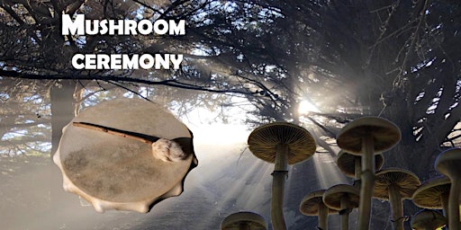 Imagem principal do evento Mushroom ceremony