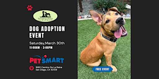 Hauptbild für Petsmart Mission Valley Adoption Event