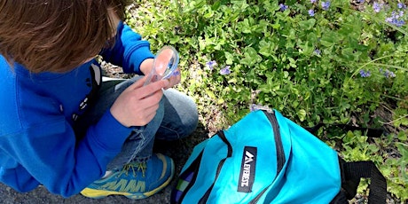 Homeschool Hike: A Sense of Spring