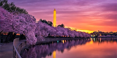 Immagine principale di Cherry Blossom Sunset Margarita Cruise on the Potomac 