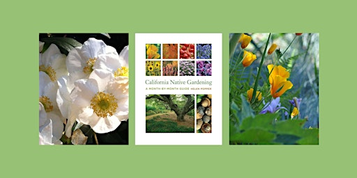 Primaire afbeelding van Helen Popper, author of CALIFORNIA NATIVE GARDENING