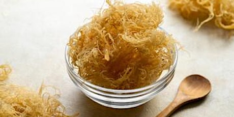 Sea Moss Gel 101 12:00-2:00