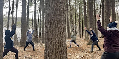 Imagem principal do evento Forest Bathing