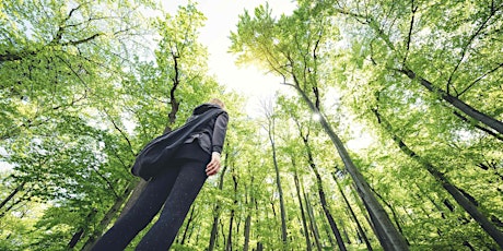 Forest Bathing at Eurobodalla Regional Botanic Garden