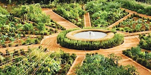 Immagine principale di Serenity in Symmetry - Introduction to Mandala Gardening 
