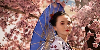 Primaire afbeelding van JAPAN – Highlights with Cherry Blossom
