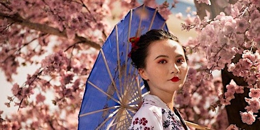 JAPAN – Highlights with Cherry Blossom primary image