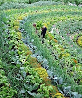 Imagen principal de Serenity in Symmetry - Creating & Planting your Mandala Garden