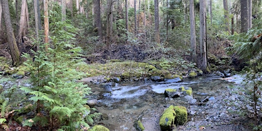 Immagine principale di Sucker Creek 