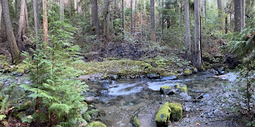 Primaire afbeelding van Sucker Creek