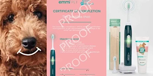 Immagine principale di Emmi pet endorsed training on teeth cleaning for dogs 