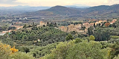 Immagine principale di La Via Etrusca da Campiglia Marittima a Suvereto 