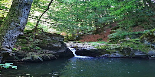 Hauptbild für Lago dell'Accesa e Cascata Bruna