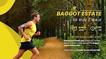 Primaire afbeelding van Baggot Estate 5k