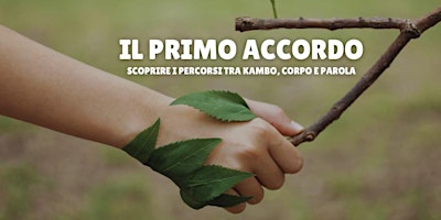 Immagine principale di Il Primo Accordo 