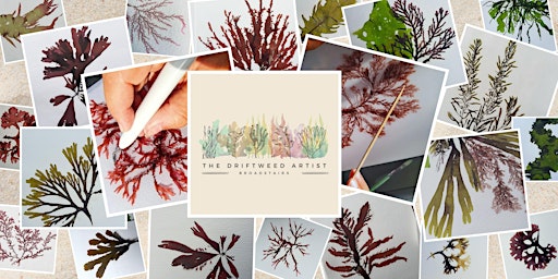 Image principale de Seaweed Pressing Workshop (4 hr) - BROADSTAIRS