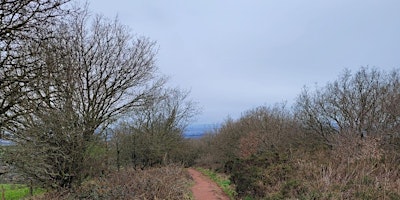 Imagen principal de Walton Hill to Four Stones to Adams Hill Circular