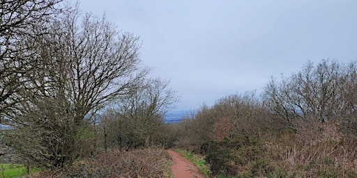 Hauptbild für Walton Hill to Four Stones to Adams Hill Circular