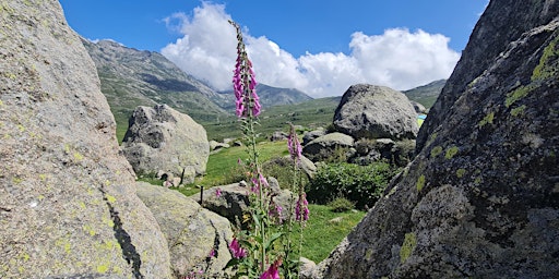 Hauptbild für Adventure trekking Series - Corsica G20