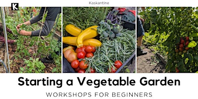 Primaire afbeelding van Starting a Vegetable Garden - Workshop with Lunch