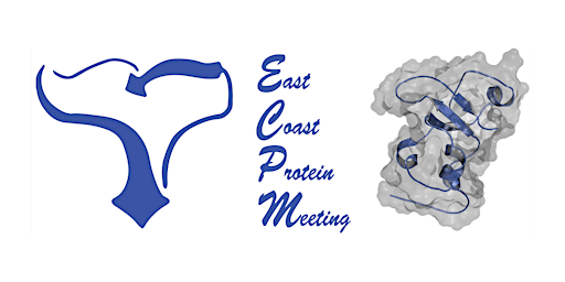 Imagem principal do evento East Coast Protein Meeting 2024