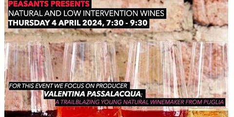 Imagem principal do evento Introduction to the next batch of Natural Wines