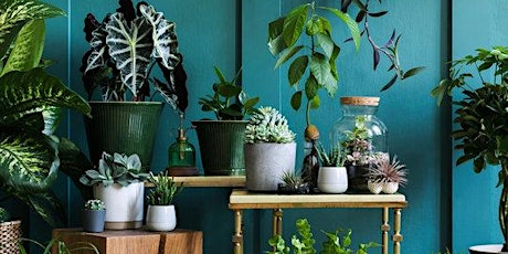 LOVE YOUR HOUSEPLANTS